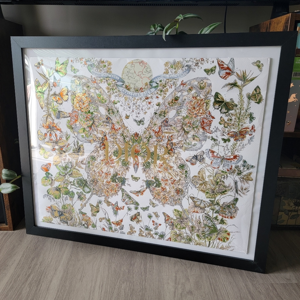 Extra Large Limited Edition Authentic Dior Butterfly Shopping Bag Framed - Picture 3 of 12